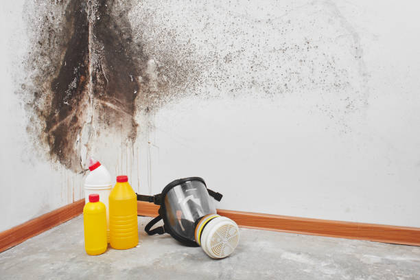 Best Attic Mold Removal  in Sumiton, AL