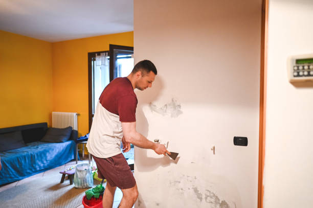 Best Local Mold Removal Service  in Sumiton, AL